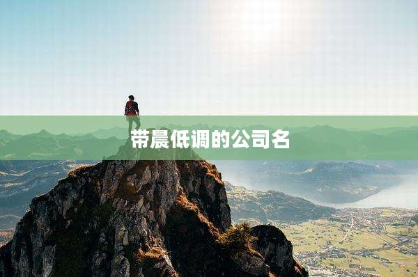 带晨低调的公司名