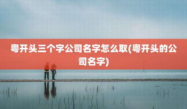 粤开头三个字公司名字怎么取(粤开头的公司名字)