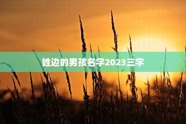 姓边的男孩名字2023三字