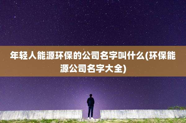 年轻人能源环保的公司名字叫什么(环保能源公司名字大全)