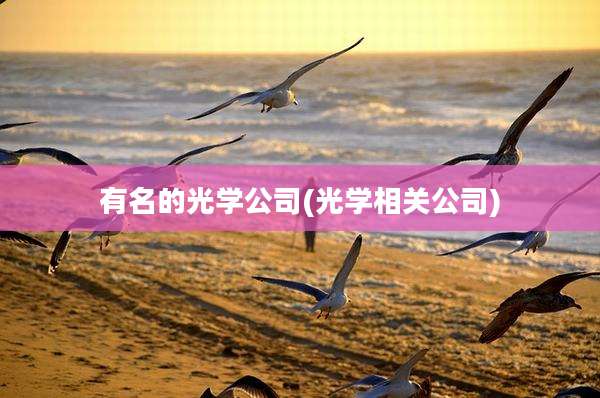 有名的光学公司(光学相关公司)