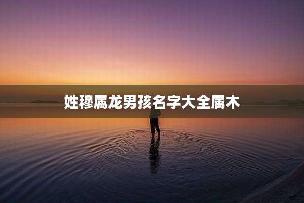 姓穆属龙男孩名字大全属木