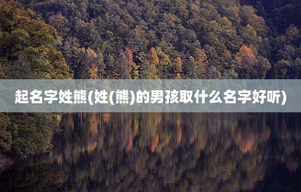 起名字姓熊(姓(熊)的男孩取什么名字好听)