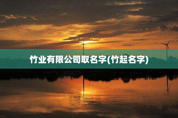 竹业有限公司取名字(竹起名字)