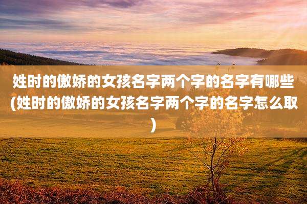 姓时的傲娇的女孩名字两个字的名字有哪些(姓时的傲娇的女孩名字两个字的名字怎么取)