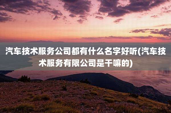 汽车技术服务公司都有什么名字好听(汽车技术服务有限公司是干嘛的)
