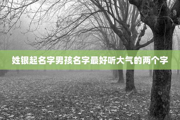 姓银起名字男孩名字最好听大气的两个字
