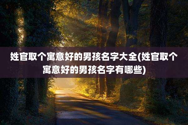 姓官取个寓意好的男孩名字大全(姓官取个寓意好的男孩名字有哪些)