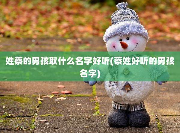 姓蔡的男孩取什么名字好听(蔡姓好听的男孩名字)