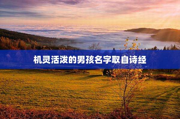 机灵活泼的男孩名字取自诗经