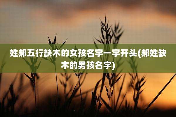 姓郝五行缺木的女孩名字一字开头(郝姓缺木的男孩名字)