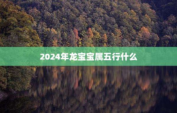 2024年龙宝宝属五行什么