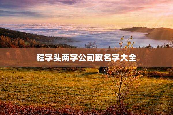 程字头两字公司取名字大全
