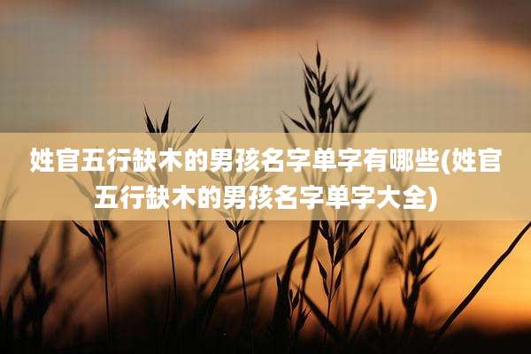 姓官五行缺木的男孩名字单字有哪些(姓官五行缺木的男孩名字单字大全)