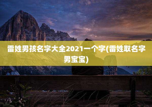 雷姓男孩名字大全2021一个字(雷姓取名字男宝宝)