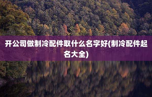 开公司做制冷配件取什么名字好(制冷配件起名大全)