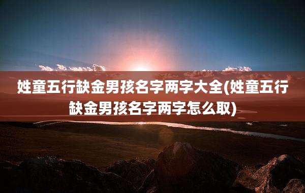 姓童五行缺金男孩名字两字大全(姓童五行缺金男孩名字两字怎么取)