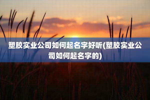 塑胶实业公司如何起名字好听(塑胶实业公司如何起名字的)