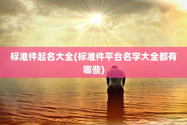 标准件起名大全(标准件平台名字大全都有哪些)