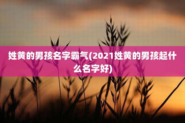 姓黄的男孩名字霸气(2021姓黄的男孩起什么名字好)