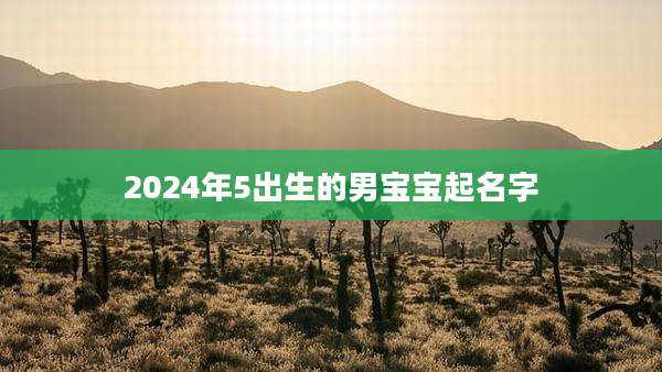 2024年5出生的男宝宝起名字