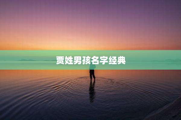 贾姓男孩名字经典