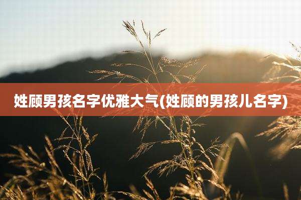 姓顾男孩名字优雅大气(姓顾的男孩儿名字)
