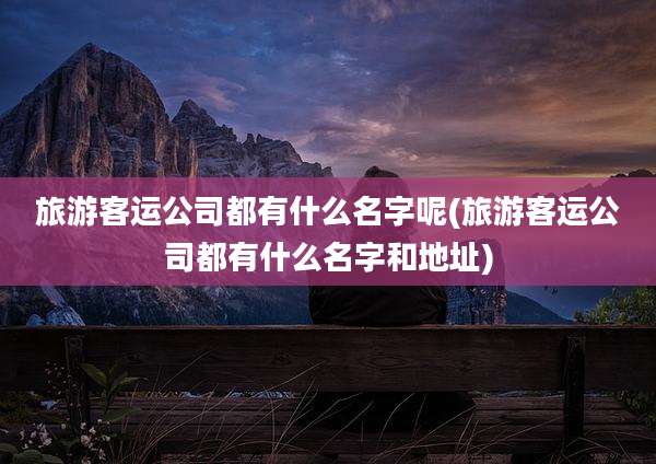 旅游客运公司都有什么名字呢(旅游客运公司都有什么名字和地址)