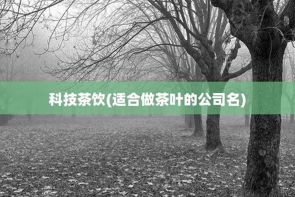 科技茶饮(适合做茶叶的公司名)