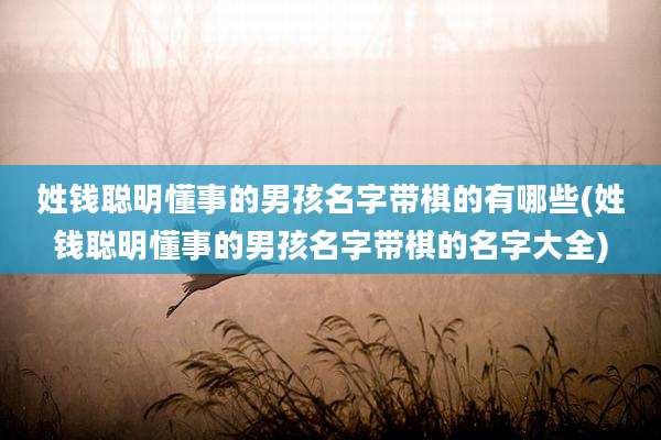 姓钱聪明懂事的男孩名字带棋的有哪些(姓钱聪明懂事的男孩名字带棋的名字大全)