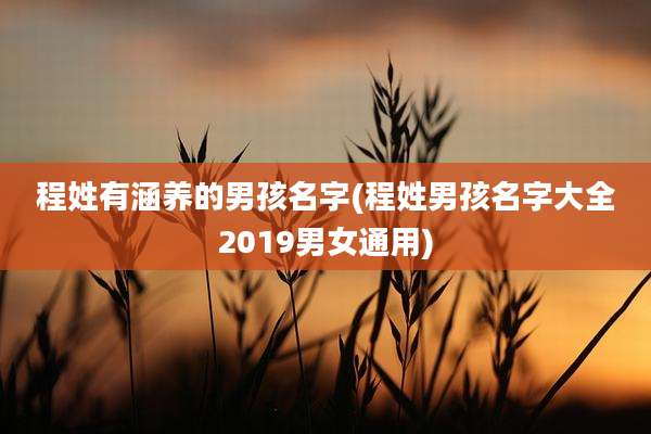 程姓有涵养的男孩名字(程姓男孩名字大全2019男女通用)