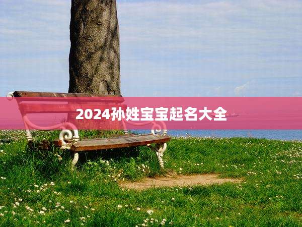 2024孙姓宝宝起名大全