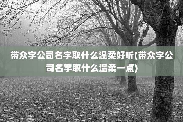 带众字公司名字取什么温柔好听(带众字公司名字取什么温柔一点)
