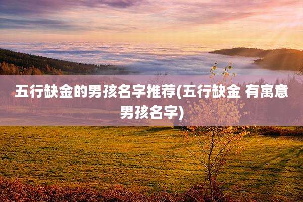 五行缺金的男孩名字推荐(五行缺金 有寓意男孩名字)