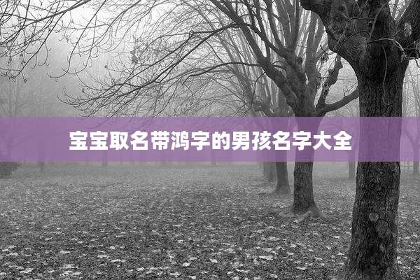 宝宝取名带鸿字的男孩名字大全