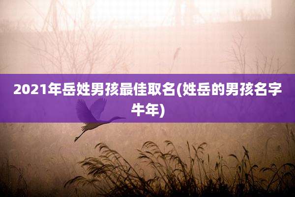 2021年岳姓男孩最佳取名(姓岳的男孩名字牛年)