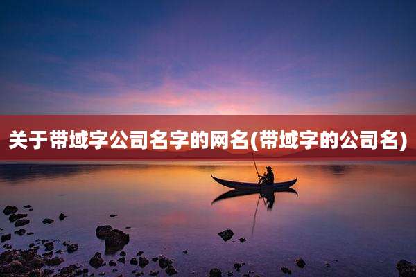 关于带域字公司名字的网名(带域字的公司名)