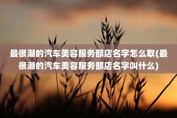 最很潮的汽车美容服务部店名字怎么取(最很潮的汽车美容服务部店名字叫什么)