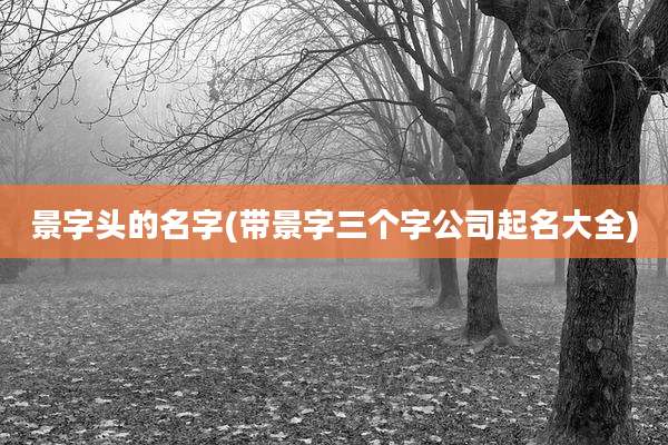 景字头的名字(带景字三个字公司起名大全)