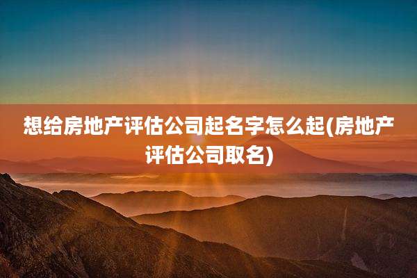 想给房地产评估公司起名字怎么起(房地产评估公司取名)