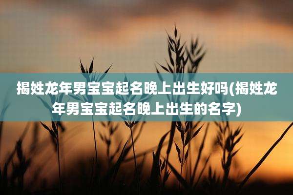 揭姓龙年男宝宝起名晚上出生好吗(揭姓龙年男宝宝起名晚上出生的名字)
