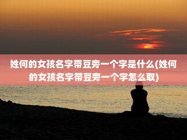 姓何的女孩名字带豆旁一个字是什么(姓何的女孩名字带豆旁一个字怎么取)