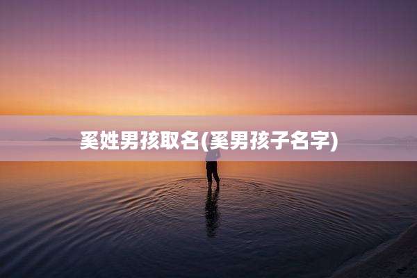 奚姓男孩取名(奚男孩子名字)