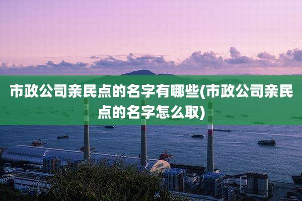 市政公司亲民点的名字有哪些(市政公司亲民点的名字怎么取)