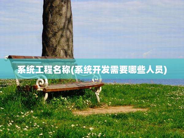 系统工程名称(系统开发需要哪些人员)