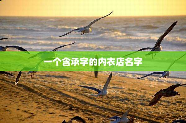 一个含承字的内衣店名字