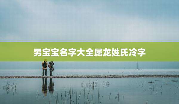 男宝宝名字大全属龙姓氏冷字