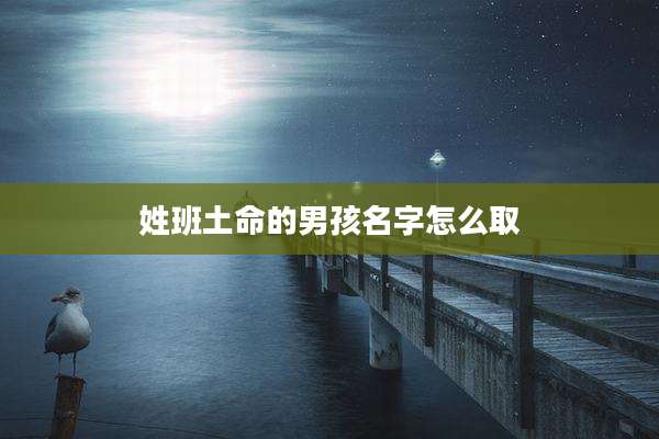 姓班土命的男孩名字怎么取