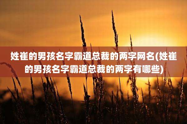 姓崔的男孩名字霸道总裁的两字网名(姓崔的男孩名字霸道总裁的两字有哪些)
