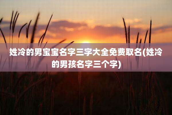 姓冷的男宝宝名字三字大全免费取名(姓冷的男孩名字三个字)